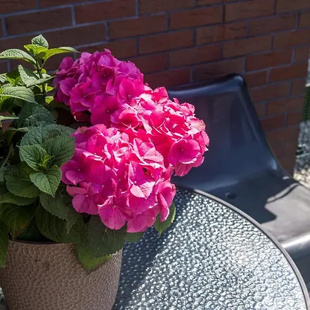 Apartamentas Ant Juros Kranto 