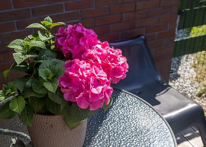 Apartamentas Ant Juros Kranto 